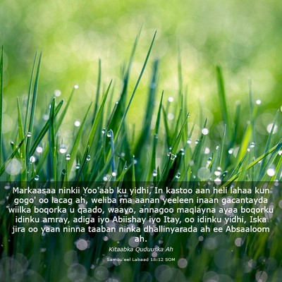 Picture 03 - Samuu'eel Labaad 18:12 SOM - Markaasaa ninkii Yoo'aab ku yidhi, In kastoo aan - Bible Verse Picture
