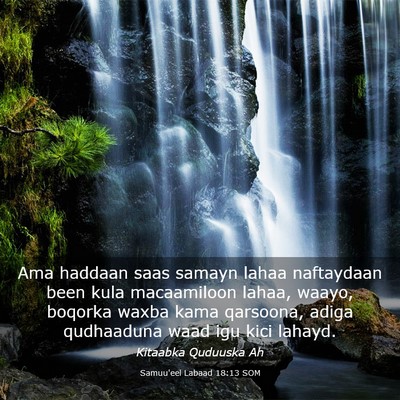 Picture 03 - Samuu'eel Labaad 18:13 SOM - Ama haddaan saas samayn lahaa naftaydaan been - Bible Verse Picture