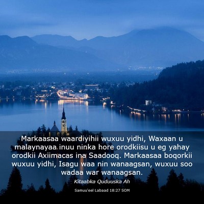 Picture 03 - Samuu'eel Labaad 18:27 SOM - Markaasaa waardiyihii wuxuu yidhi, Waxaan u - Bible Verse Picture