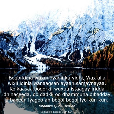 Picture 03 - Samuu'eel Labaad 18:4 SOM - Boqorkiina wuxuu iyagii ku yidhi, Wax alla wixii - Bible Verse Picture