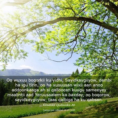 Picture 03 - Samuu'eel Labaad 19:19 SOM - Oo wuxuu boqorkii ku yidhi, Sayidkaygiiyow, dembi - Bible Verse Picture