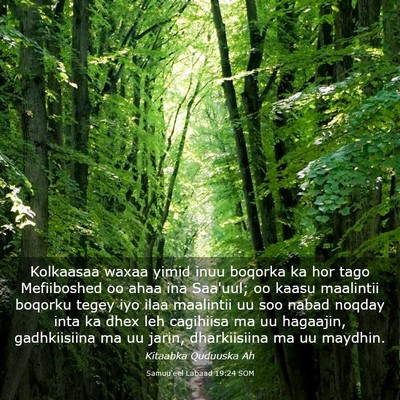 Picture 03 - Samuu'eel Labaad 19:24 SOM - Kolkaasaa waxaa yimid inuu boqorka ka hor tago - Bible Verse Picture