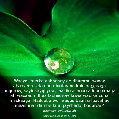 Picture 03 - Samuu'eel Labaad 19:28 SOM - Waayo, reerka aabbahay oo dhammu waxay ahaayeen - Bible Verse Picture