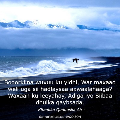 Picture 03 - Samuu'eel Labaad 19:29 SOM - Boqorkiina wuxuu ku yidhi, War maxaad weli uga - Bible Verse Picture