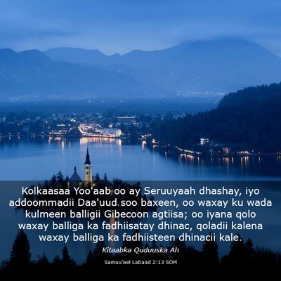 Picture 03 - Samuu'eel Labaad 2:13 SOM - Kolkaasaa Yoo'aab oo ay Seruuyaah dhashay, iyo - Bible Verse Picture