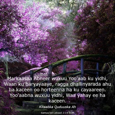 Picture 03 - Samuu'eel Labaad 2:14 SOM - Markaasaa Abneer wuxuu Yoo'aab ku yidhi, Waan ku - Bible Verse Picture