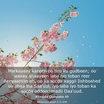 Picture 03 - Samuu'eel Labaad 2:15 SOM - Markaasay kaceen oo tiro ku gudbeen; oo waxay - Bible Verse Picture