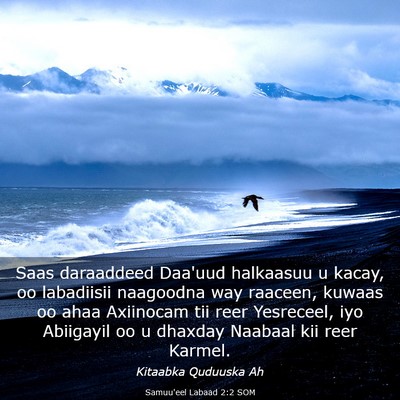 Picture 03 - Samuu'eel Labaad 2:2 SOM - Saas daraaddeed Daa'uud halkaasuu u kacay, oo - Bible Verse Picture