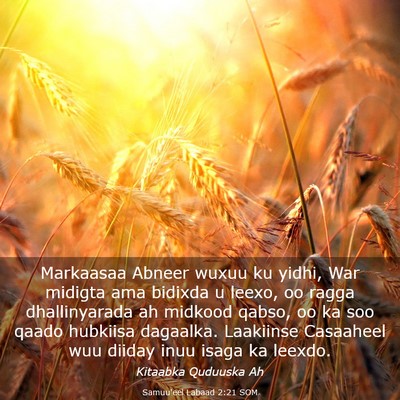 Picture 03 - Samuu'eel Labaad 2:21 SOM - Markaasaa Abneer wuxuu ku yidhi, War midigta ama - Bible Verse Picture