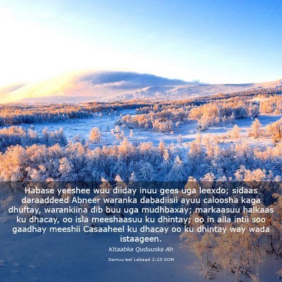 Picture 03 - Samuu'eel Labaad 2:23 SOM - Habase yeeshee wuu diiday inuu gees uga leexdo; - Bible Verse Picture