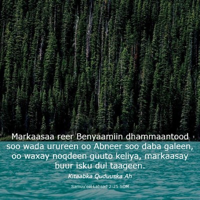 Picture 03 - Samuu'eel Labaad 2:25 SOM - Markaasaa reer Benyaamiin dhammaantood soo wada - Bible Verse Picture