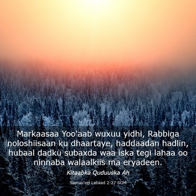 Picture 03 - Samuu'eel Labaad 2:27 SOM - Markaasaa Yoo'aab wuxuu yidhi, Rabbiga - Bible Verse Picture