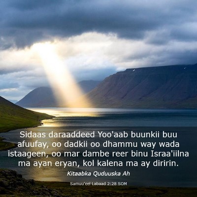 Picture 03 - Samuu'eel Labaad 2:28 SOM - Sidaas daraaddeed Yoo'aab buunkii buu afuufay, oo - Bible Verse Picture