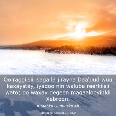 Picture 03 - Samuu'eel Labaad 2:3 SOM - Oo raggiisii isaga la jirayna Daa'uud wuu - Bible Verse Picture