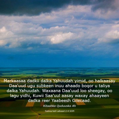 Picture 03 - Samuu'eel Labaad 2:4 SOM - Markaasaa dadkii dalka Yahuudah yimid, oo - Bible Verse Picture