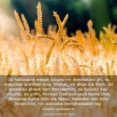 Picture 03 - Samuu'eel Labaad 20:1 SOM - Oo halkaasna waxaa joogay nin waxmatare ah, oo - Bible Verse Picture