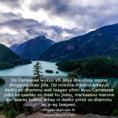 Picture 03 - Samuu'eel Labaad 20:12 SOM - Oo Camaasaa wuxuu yiil jidka dhexdiisa isagoo - Bible Verse Picture