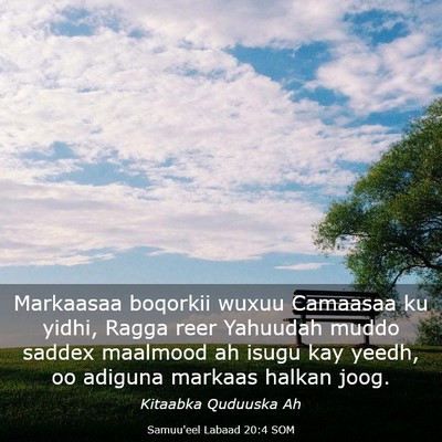 Picture 03 - Samuu'eel Labaad 20:4 SOM - Markaasaa boqorkii wuxuu Camaasaa ku yidhi, Ragga - Bible Verse Picture