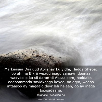 Picture 03 - Samuu'eel Labaad 20:6 SOM - Markaasaa Daa'uud Abiishay ku yidhi, Hadda Shebac - Bible Verse Picture