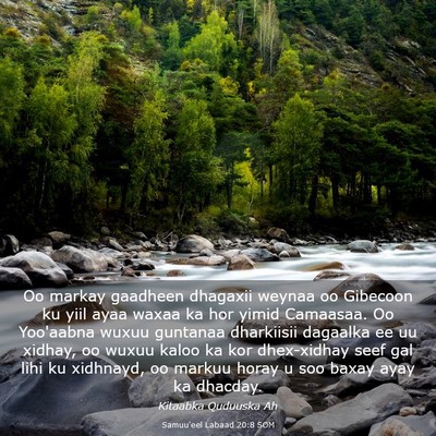 Picture 03 - Samuu'eel Labaad 20:8 SOM - Oo markay gaadheen dhagaxii weynaa oo Gibecoon ku - Bible Verse Picture