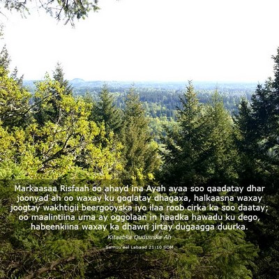 Picture 03 - Samuu'eel Labaad 21:10 SOM - Markaasaa Risfaah oo ahayd ina Ayah ayaa soo - Bible Verse Picture
