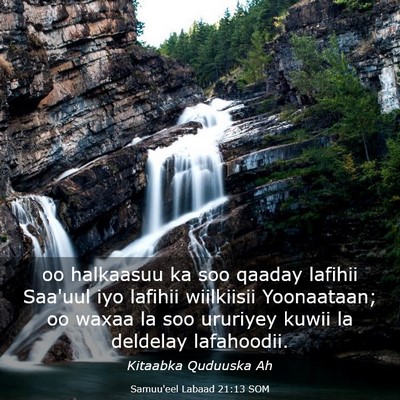 Picture 03 - Samuu'eel Labaad 21:13 SOM - oo halkaasuu ka soo qaaday lafihii Saa'uul iyo - Bible Verse Picture
