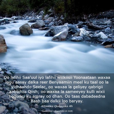 Picture 03 - Samuu'eel Labaad 21:14 SOM - Oo lafihii Saa'uul iyo lafihii wiilkiisii - Bible Verse Picture
