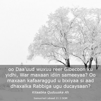 Picture 03 - Samuu'eel Labaad 21:3 SOM - oo Daa'uud wuxuu reer Gibecoon ku yidhi, War - Bible Verse Picture