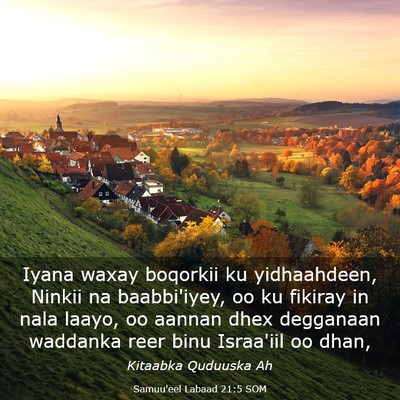Picture 03 - Samuu'eel Labaad 21:5 SOM - Iyana waxay boqorkii ku yidhaahdeen, Ninkii na - Bible Verse Picture