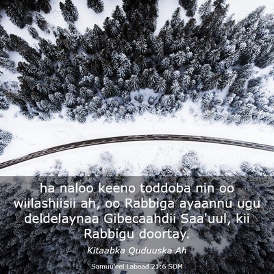 Picture 03 - Samuu'eel Labaad 21:6 SOM - ha naloo keeno toddoba nin oo wiilashiisii ah, oo - Bible Verse Picture