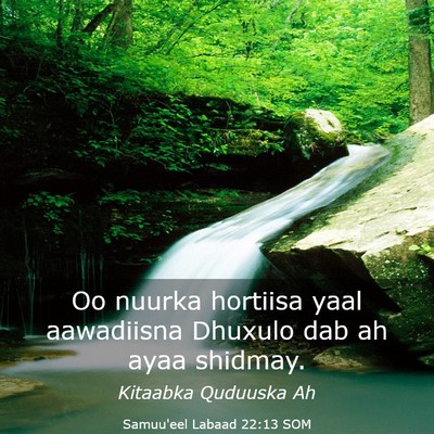 Picture 03 - Samuu'eel Labaad 22:13 SOM - Oo nuurka hortiisa yaal aawadiisna Dhuxulo dab ah - Bible Verse Picture