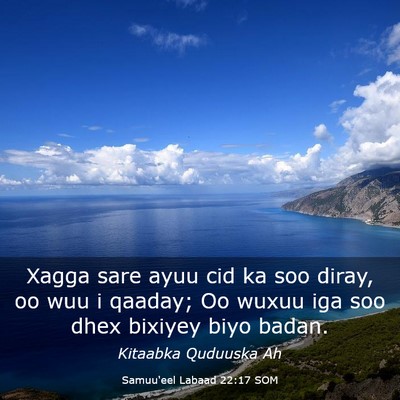 Picture 03 - Samuu'eel Labaad 22:17 SOM - Xagga sare ayuu cid ka soo diray, oo wuu i - Bible Verse Picture