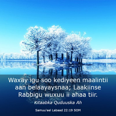 Picture 03 - Samuu'eel Labaad 22:19 SOM - Waxay igu soo kediyeen maalintii aan - Bible Verse Picture
