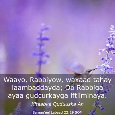 Picture 03 - Samuu'eel Labaad 22:29 SOM - Waayo, Rabbiyow, waxaad tahay laambaddayda; Oo - Bible Verse Picture
