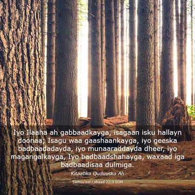 Picture 03 - Samuu'eel Labaad 22:3 SOM - Iyo Ilaaha ah gabbaadkayga, isagaan isku hallayn - Bible Verse Picture