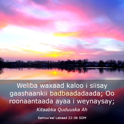 Picture 03 - Samuu'eel Labaad 22:36 SOM - Weliba waxaad kaloo i siisay gaashaankii - Bible Verse Picture