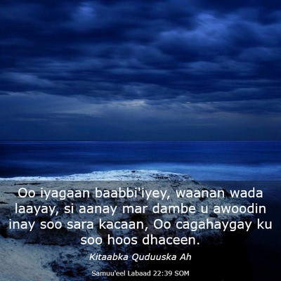 Picture 03 - Samuu'eel Labaad 22:39 SOM - Oo iyagaan baabbi'iyey, waanan wada laayay, si - Bible Verse Picture