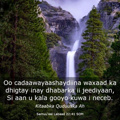 Picture 03 - Samuu'eel Labaad 22:41 SOM - Oo cadaawayaashaydiina waxaad ka dhigtay inay - Bible Verse Picture