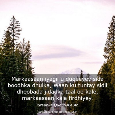 Picture 03 - Samuu'eel Labaad 22:43 SOM - Markaasaan iyagii u duqeeyey sida boodhka dhulka, - Bible Verse Picture