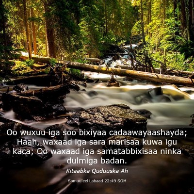 Picture 03 - Samuu'eel Labaad 22:49 SOM - Oo wuxuu iga soo bixiyaa cadaawayaashayda; Haah, - Bible Verse Picture