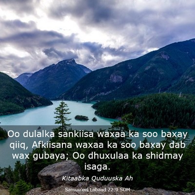 Picture 03 - Samuu'eel Labaad 22:9 SOM - Oo dulalka sankiisa waxaa ka soo baxay qiiq, - Bible Verse Picture