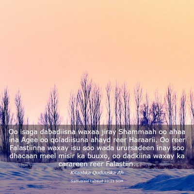 Picture 03 - Samuu'eel Labaad 23:11 SOM - Oo isaga dabadiisna waxaa jiray Shammaah oo ahaa - Bible Verse Picture
