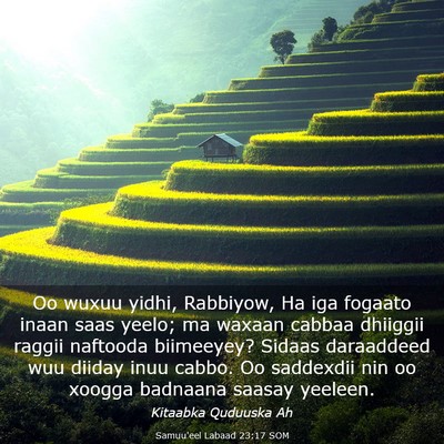 Picture 03 - Samuu'eel Labaad 23:17 SOM - Oo wuxuu yidhi, Rabbiyow, Ha iga fogaato inaan - Bible Verse Picture