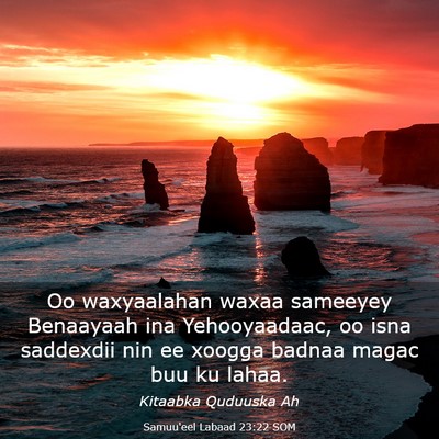 Picture 03 - Samuu'eel Labaad 23:22 SOM - Oo waxyaalahan waxaa sameeyey Benaayaah ina - Bible Verse Picture