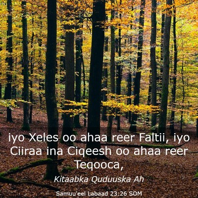 Picture 03 - Samuu'eel Labaad 23:26 SOM - iyo Xeles oo ahaa reer Faltii, iyo Ciiraa ina - Bible Verse Picture
