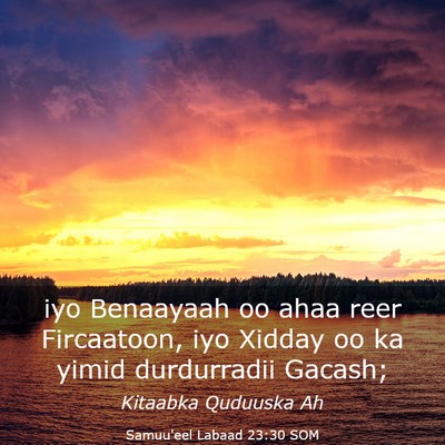 Picture 03 - Samuu'eel Labaad 23:30 SOM - iyo Benaayaah oo ahaa reer Fircaatoon, iyo Xidday - Bible Verse Picture