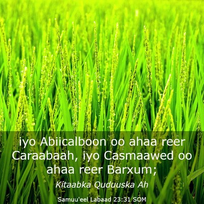 Picture 03 - Samuu'eel Labaad 23:31 SOM - iyo Abiicalboon oo ahaa reer Caraabaah, iyo - Bible Verse Picture