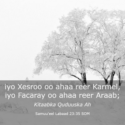 Picture 03 - Samuu'eel Labaad 23:35 SOM - iyo Xesroo oo ahaa reer Karmel, iyo Facaray oo - Bible Verse Picture