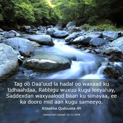 Picture 03 - Samuu'eel Labaad 24:12 SOM - Tag oo Daa'uud la hadal oo waxaad ku tidhaahdaa, - Bible Verse Picture
