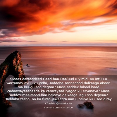 Picture 03 - Samuu'eel Labaad 24:13 SOM - Sidaas daraaddeed Gaad baa Daa'uud u yimid, oo - Bible Verse Picture